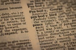 Common Terms in Probate and Estate Management