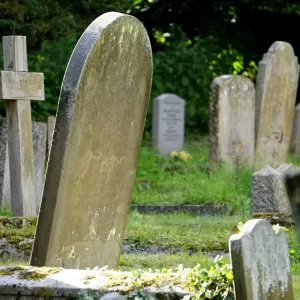 Weathered tombstones in a tranquil cemetery surrounded by greenery.